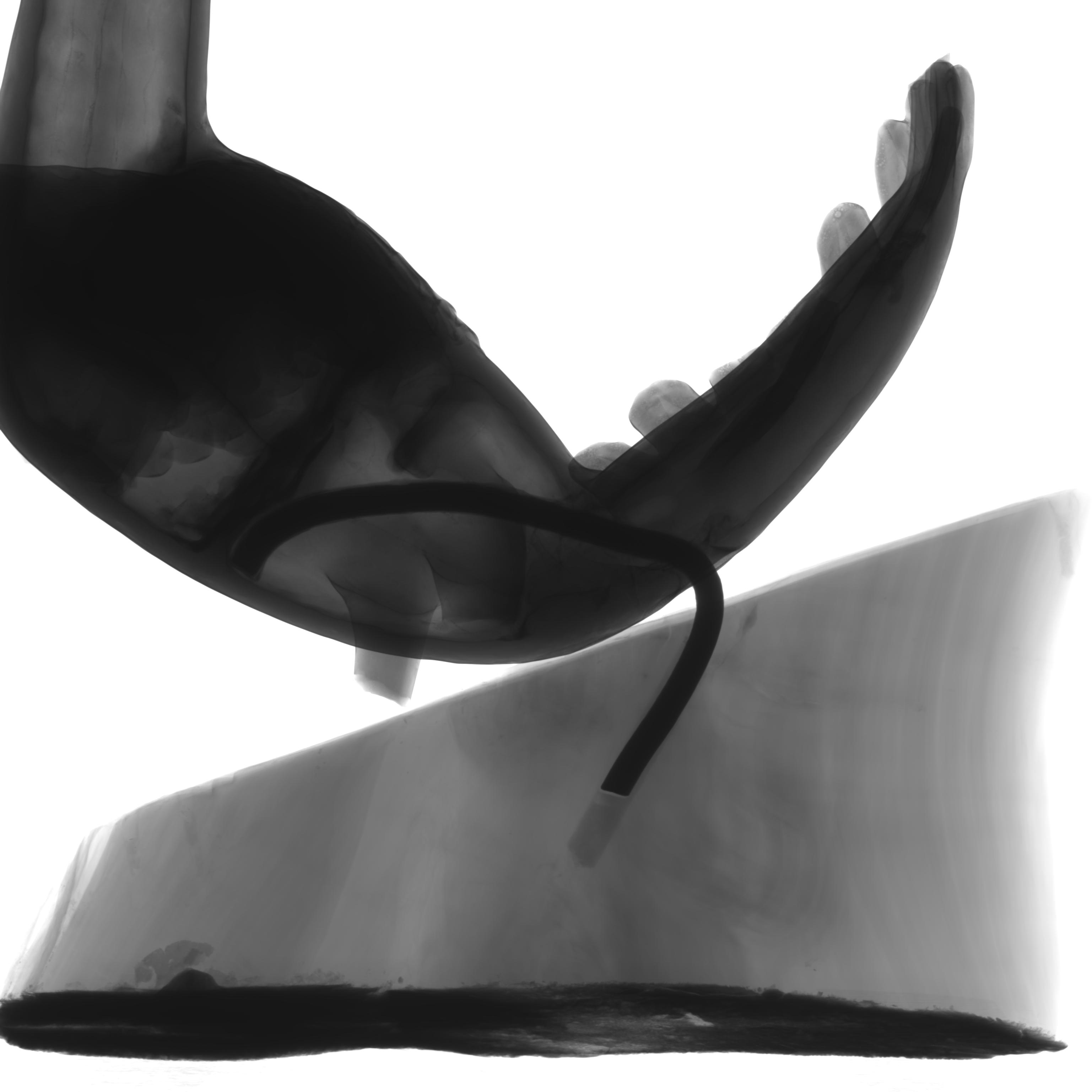 Additional image 1